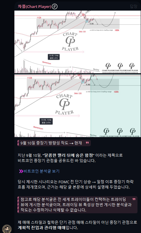 알트코인 관점 브리핑 화면